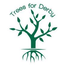 Trees for Derby logo